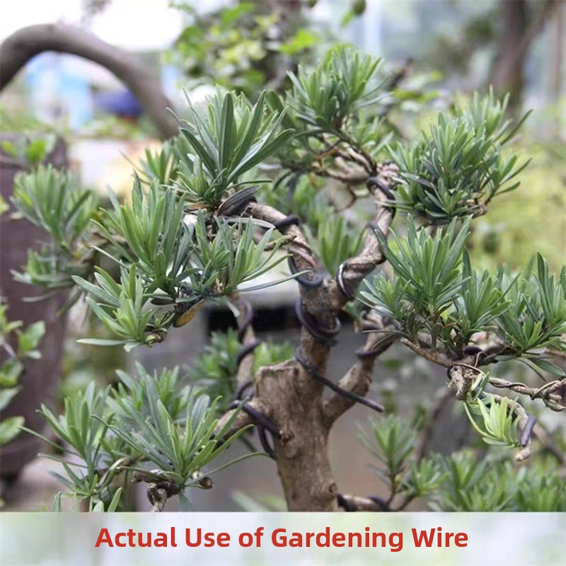 Алюминиевая проволока для бонс – обзор и цена Bonsai Garden Usa